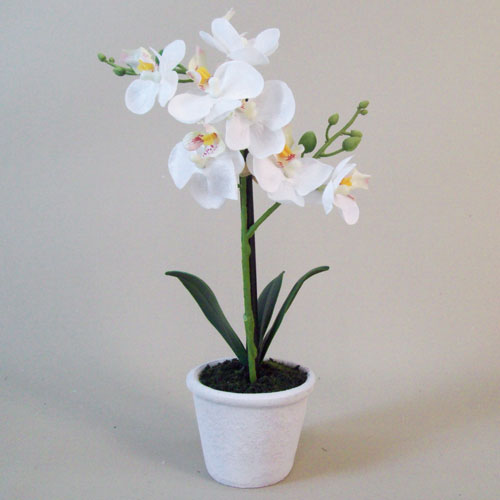 Mini Artificial Phalaenopsis Orchid Plant In White Pot Ivory Artificial Plants 8337